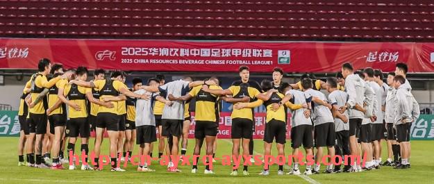 爱游戏体育-世俱杯历届决赛首发阵容变化趋势与战术转型分析