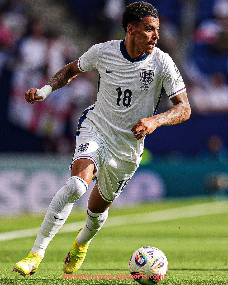 爱游戏体育-德甲球队图文配文案例分享：如何写出吸睛文案