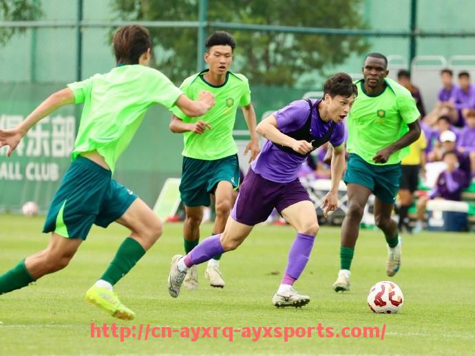 爱游戏体育-世俱杯比赛暂停后重新开始的技术标准及流程规范